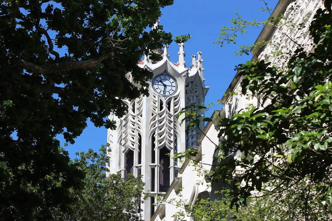 पेड़ों के बीच से दिखता University of Auckland का सफ़ेद घंटाघर, साफ़ नीले आसमान के सामने