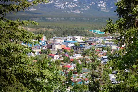 Colourful rooftops of Whitehorse, Yukon, framed by spruce trees with snow-streaked mountains beyond